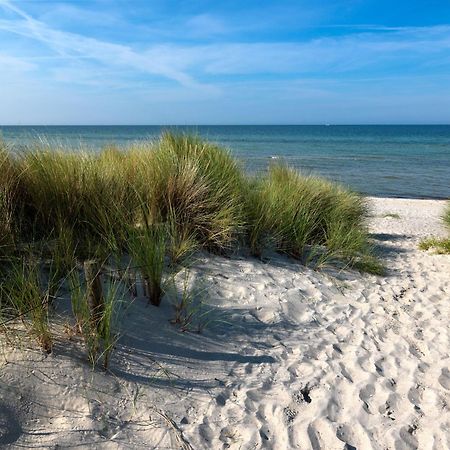 Daenische Ferienhaeuser Am Salzhaff Haus Vogelparadies Insel Poel Dış mekan fotoğraf